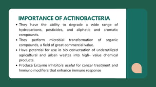 IMPORTANCE OF ACTINOBACTERIA
They have the ability to degrade a wide range of
hydrocarbons, pesticides, and aliphatic and ...