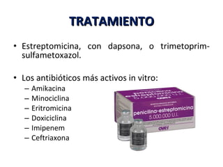 TRATAMIENTO Estreptomicina, con dapsona, o trimetoprim-sulfametoxazol. Los antibióticos más activos in vitro: Amikacina Minociclina Eritromicina Doxiciclina Imipenem Ceftriaxona 