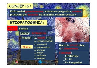 Schaalia Radingae Actinomicosis | PDF