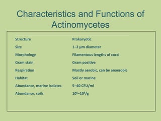 Characteristics and Functions of
Actinomycetes
Structure Prokaryotic
Size 1–2 μm diameter
Morphology Filamentous lengths of cocci
Gram stain Gram positive
Respiration Mostly aerobic, can be anaerobic
Habitat Soil or marine
Abundance, marine isolates 5–40 CFU/ml
Abundance, soils 106–108/g
 