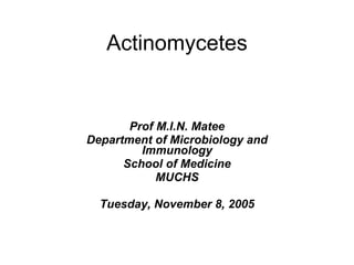 Actinomycetes Prof M.I.N. Matee Department of Microbiology and Immunology School of Medicine MUCHS Tuesday, November 8, 2005 