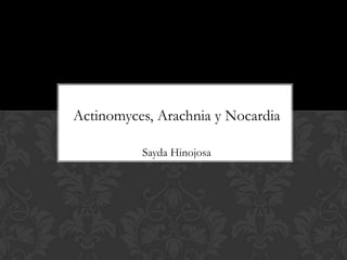 ACTINOMYCES, ARACHNIA Y
          NOCARDIA
Actinomyces,Sayda Hinojosa y Nocardia
              Arachnia

            Sayda Hinojosa
 