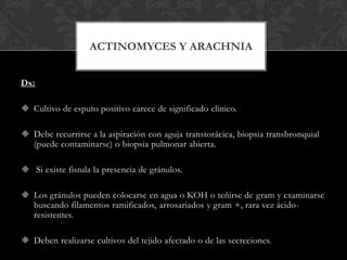 ACTINOMYCES Y ARACHNIA


Dx:

 Cultivo de esputo positivo carece de significado clínico.

 Debe recurrirse a la aspiración con aguja transtorácica, biopsia transbronquial
  (puede contaminarse) o biopsia pulmonar abierta.

 Si existe fistula la presencia de gránulos.

 Los gránulos pueden colocarse en agua o KOH o teñirse de gram y examinarse
  buscando filamentos ramificados, arrosariados y gram +, rara vez ácido-
  resistentes.

 Deben realizarse cultivos del tejido afectado o de las secreciones.
 