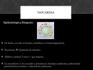 NOCARDIA


  Epidemiología y Patogenia:




 En Suelo, en todo el mundo, contribuye a la descomposición.

 Neumonía  inhalación de micelios.

 Adultos, varones 2 veces + que mujeres.

 La nocardiosis se ha asociado a proteinosis alveolares pulmonar, enfermedad
  granulomatosa crónica y tuberculosis pulmonar.
 