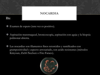 NOCARDIA
Dx:

 Examen de esputo (rara vez es positivo).

 Aspiración transtraqueal, broncoscopia, aspiración con aguja y la biopsia
  pulmonar abierta.

 Las nocardias son filamentos finos retorcidos y ramificados con
  grampositividad y aspecto arrosariado, son acido-resistentes (métodos
  Kinyoun, Ziehl-Neelsen o Fite-Faraco).
 