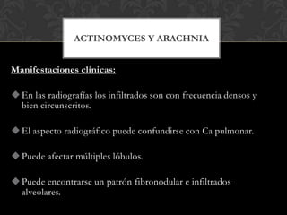 ACTINOMYCES Y ARACHNIA


Manifestaciones clínicas:

 En las radiografías los infiltrados son con frecuencia densos y
  bien circunscritos.

 El aspecto radiográfico puede confundirse con Ca pulmonar.

 Puede afectar múltiples lóbulos.

 Puede encontrarse un patrón fibronodular e infiltrados
  alveolares.
 