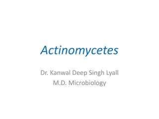 Actinomycetes
Dr. Kanwal Deep Singh Lyall
M.D. Microbiology
 
