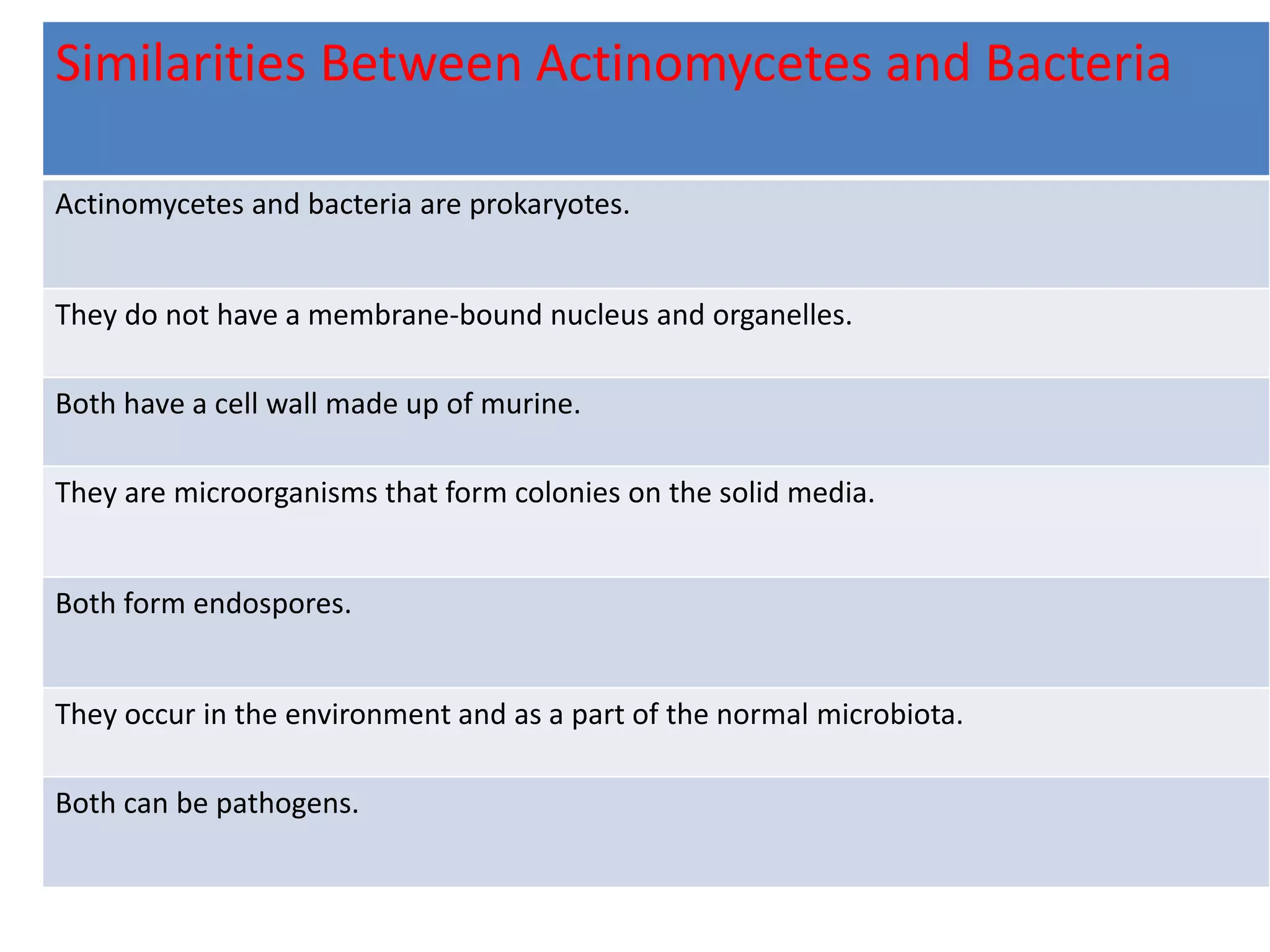 Similarities Between Actinomycetes and Bacteria
Actinomycetes and bacteria are prokaryotes.
They do not have a membrane-bound nucleus and organelles.
Both have a cell wall made up of murine.
They are microorganisms that form colonies on the solid media.
Both form endospores.
They occur in the environment and as a part of the normal microbiota.
Both can be pathogens.
 