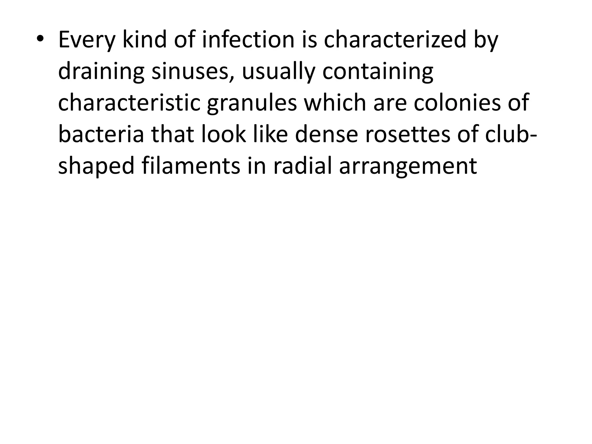 • Every kind of infection is characterized by
draining sinuses, usually containing
characteristic granules which are colonies of
bacteria that look like dense rosettes of club-
shaped filaments in radial arrangement
 