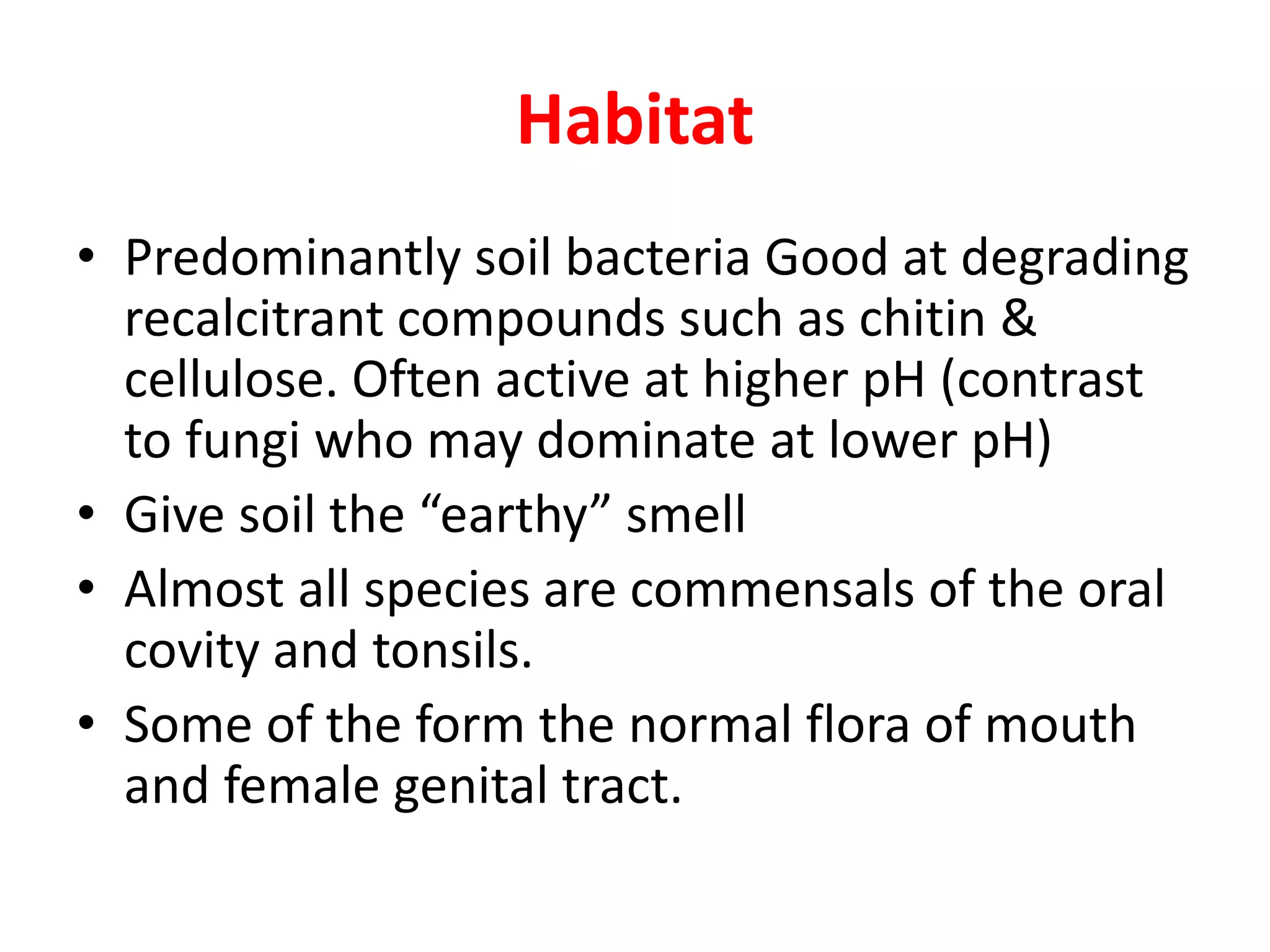 Habitat
• Predominantly soil bacteria Good at degrading
recalcitrant compounds such as chitin &
cellulose. Often active at higher pH (contrast
to fungi who may dominate at lower pH)
• Give soil the “earthy” smell
• Almost all species are commensals of the oral
covity and tonsils.
• Some of the form the normal flora of mouth
and female genital tract.
 