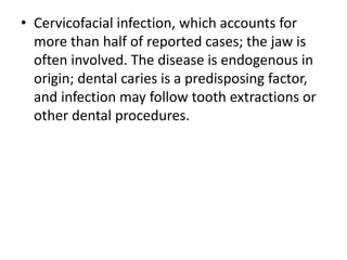 • Cervicofacial infection, which accounts for
more than half of reported cases; the jaw is
often involved. The disease is endogenous in
origin; dental caries is a predisposing factor,
and infection may follow tooth extractions or
other dental procedures.
 