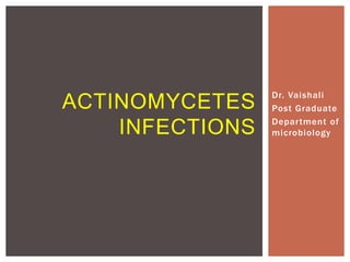 Dr. Vaishali
Post Graduate
Department of
microbiology
ACTINOMYCETES
INFECTIONS
 