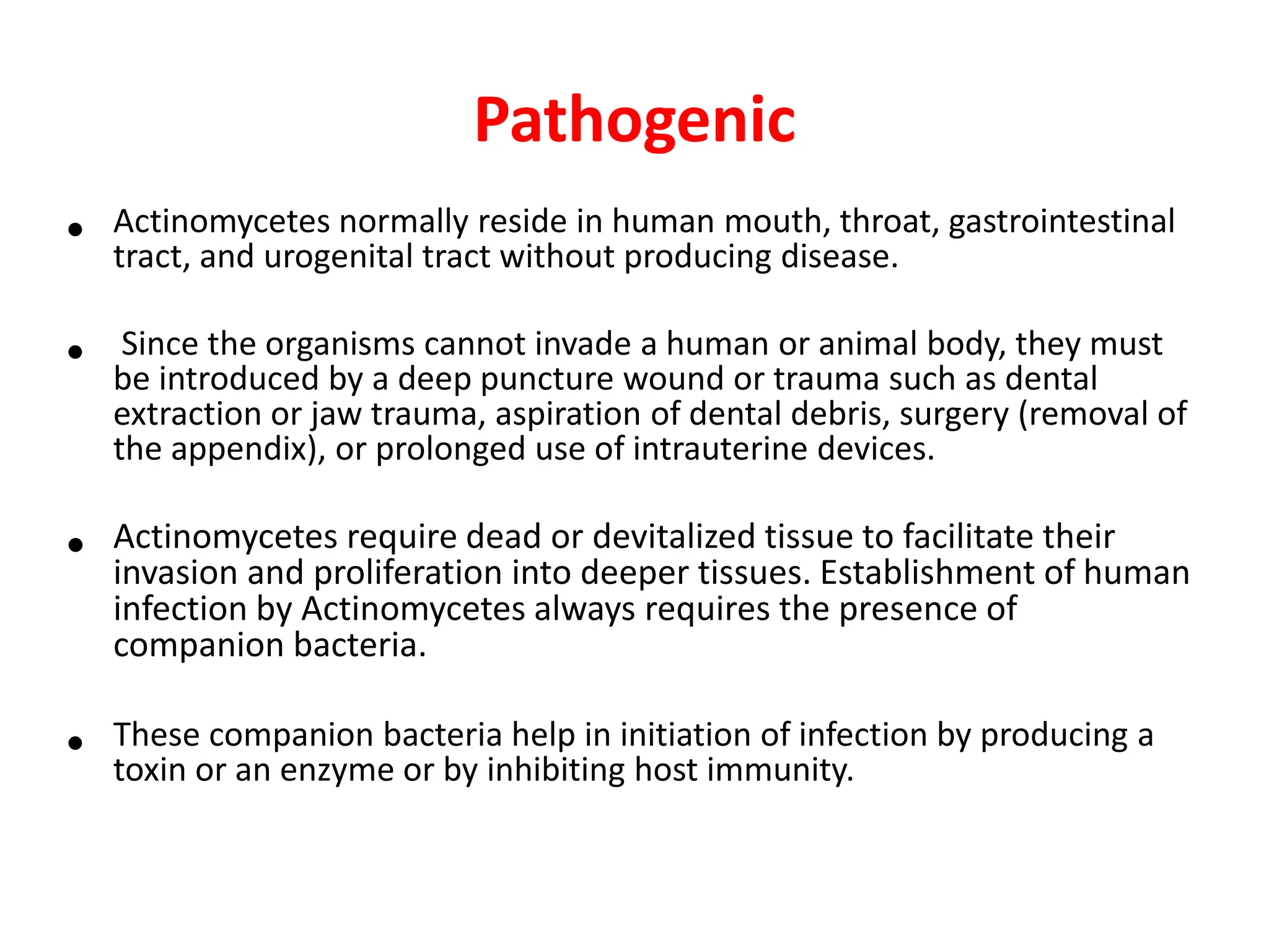 Pathogenic
• Actinomycetes normally reside in human mouth, throat, gastrointestinal
tract, and urogenital tract without producing disease.
• Since the organisms cannot invade a human or animal body, they must
be introduced by a deep puncture wound or trauma such as dental
extraction or jaw trauma, aspiration of dental debris, surgery (removal of
the appendix), or prolonged use of intrauterine devices.
• Actinomycetes require dead or devitalized tissue to facilitate their
invasion and proliferation into deeper tissues. Establishment of human
infection by Actinomycetes always requires the presence of
companion bacteria.
• These companion bacteria help in initiation of infection by producing a
toxin or an enzyme or by inhibiting host immunity.
 
