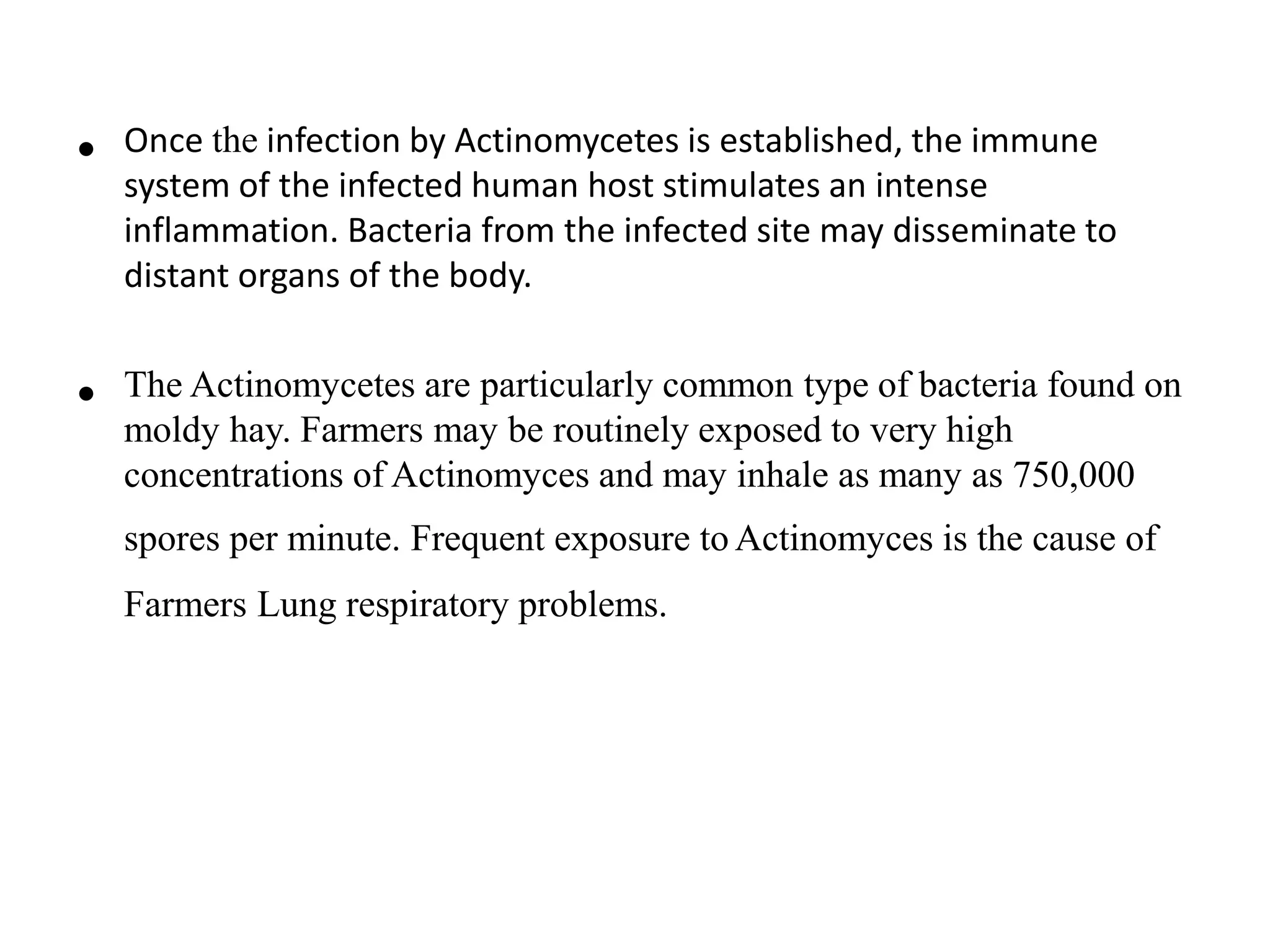 • Once the infection by Actinomycetes is established, the immune
system of the infected human host stimulates an intense
inflammation. Bacteria from the infected site may disseminate to
distant organs of the body.
• The Actinomycetes are particularly common type of bacteria found on
moldy hay. Farmers may be routinely exposed to very high
concentrations of Actinomyces and may inhale as many as 750,000
spores per minute. Frequent exposure to Actinomyces is the cause of
Farmers Lung respiratory problems.
 