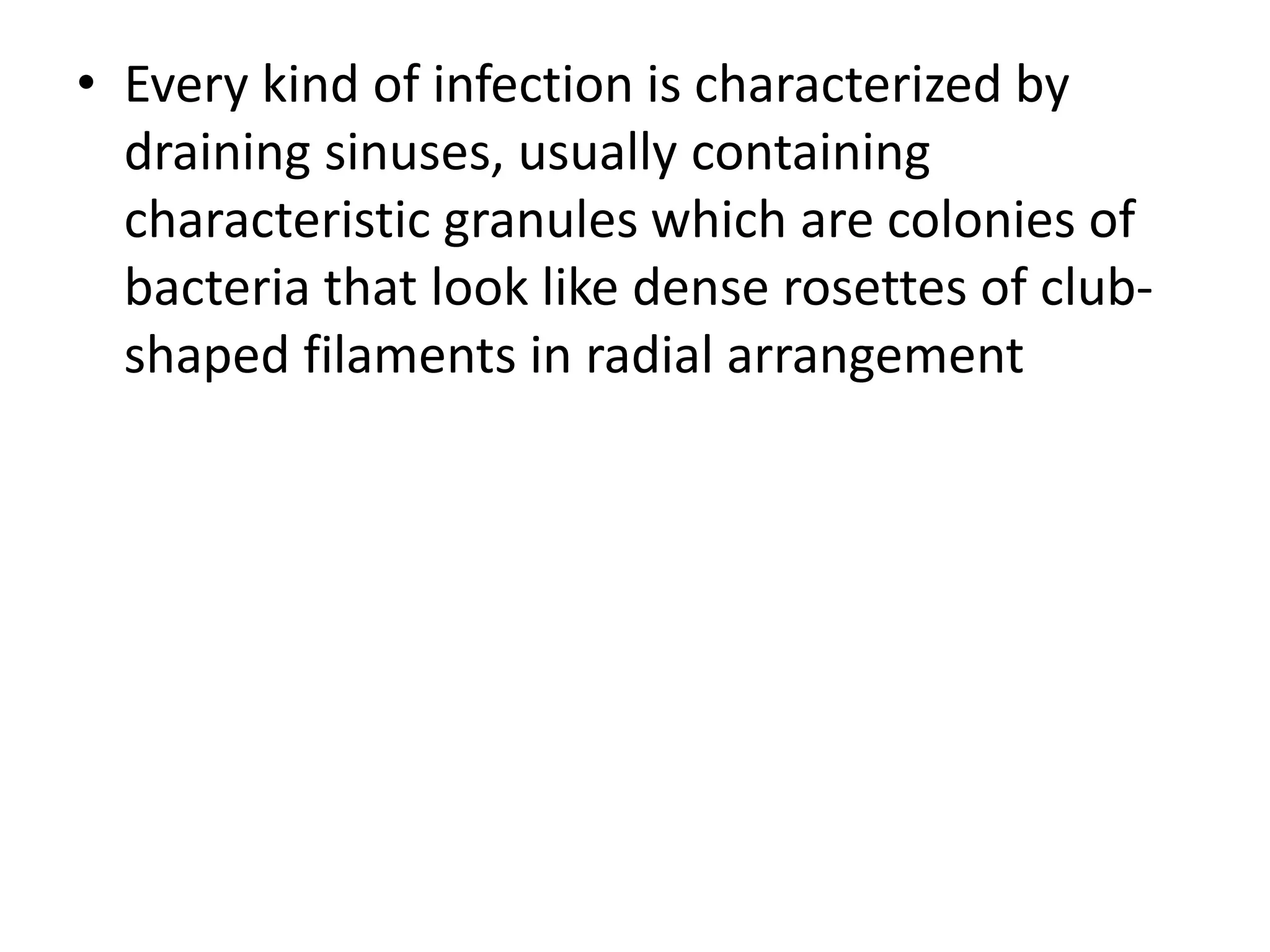• Every kind of infection is characterized by
draining sinuses, usually containing
characteristic granules which are colonies of
bacteria that look like dense rosettes of club-
shaped filaments in radial arrangement
 