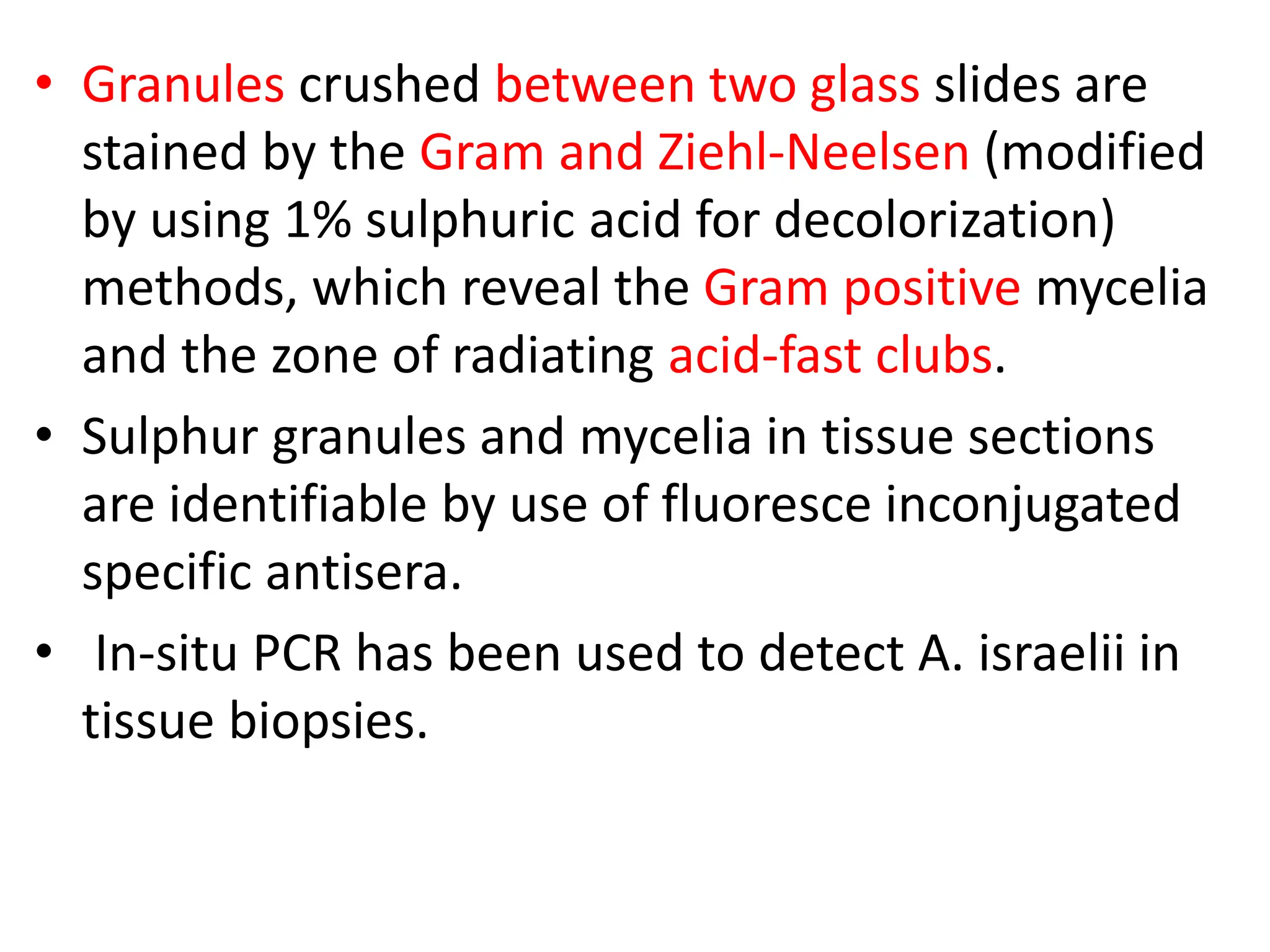 • Granules crushed between two glass slides are
stained by the Gram and Ziehl-Neelsen (modified
by using 1% sulphuric acid for decolorization)
methods, which reveal the Gram positive mycelia
and the zone of radiating acid-fast clubs.
• Sulphur granules and mycelia in tissue sections
are identifiable by use of fluoresce inconjugated
specific antisera.
• In-situ PCR has been used to detect A. israelii in
tissue biopsies.
 
