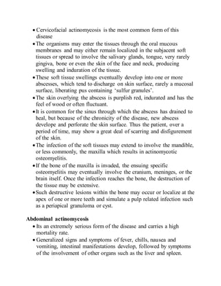  Cervicofacial actinomycosis is the most common form of this
disease
The organisms may enter the tissues through the oral mucous
membranes and may either remain localized in the subjacent soft
tissues or spread to involve the salivary glands, tongue, very rarely
gingiva, bone or even the skin of the face and neck, producing
swelling and induration of the tissue.
These soft tissue swellings eventually develop into one or more
abscesses, which tend to discharge on skin surface, rarely a mucosal
surface, liberating pus containing ‘sulfur granules’.
The skin overlying the abscess is purplish red, indurated and has the
feel of wood or often fluctuant.
It is common for the sinus through which the abscess has drained to
heal, but because of the chronicity of the disease, new abscess
develope and perforate the skin surface. Thus the patient, over a
period of time, may show a great deal of scarring and disfigurement
of the skin.
The infection of the soft tissues may extend to involve the mandible,
or less commonly, the maxilla which results in actinomycotic
osteomyelitis.
If the bone of the maxilla is invaded, the ensuing specific
osteomyelitis may eventually involve the cranium, meninges, or the
brain itself. Once the infection reaches the bone, the destruction of
the tissue may be extensive.
Such destructive lesions within the bone may occur or localize at the
apex of one or more teeth and simulate a pulp related infection such
as a periapical granuloma or cyst.
Abdominal actinomycosis
 Its an extremely serious form of the disease and carries a high
mortality rate.
 Generalized signs and symptoms of fever, chills, nausea and
vomiting, intestinal manifestations develop, followed by symptoms
of the involvement of other organs such as the liver and spleen.
 