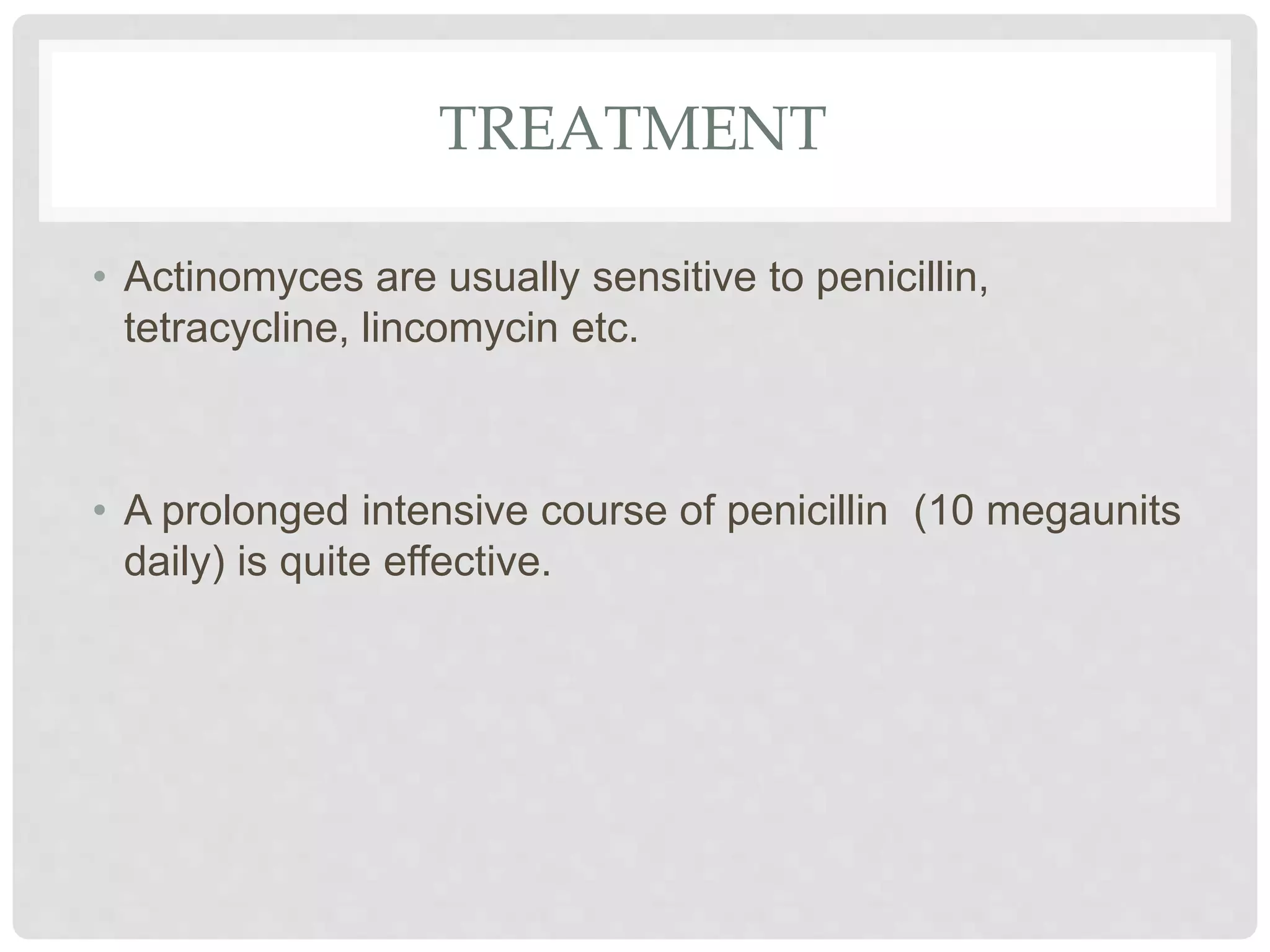 ACTINOMYCOSIS pptx actinomycosis-pptx