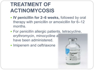 primary-gastric-actinomycosis-presentation-ppt