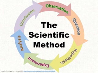 The
Scientific
Method
Image by Thebiologyprimer - Own work, CC0, https://commons.wikimedia.org/w/index.php?curid=50625082
 