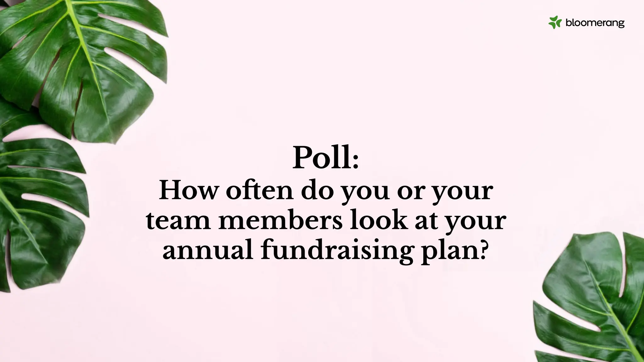 Poll:
How often do you or your
team members look at your
annual fundraising plan?
 