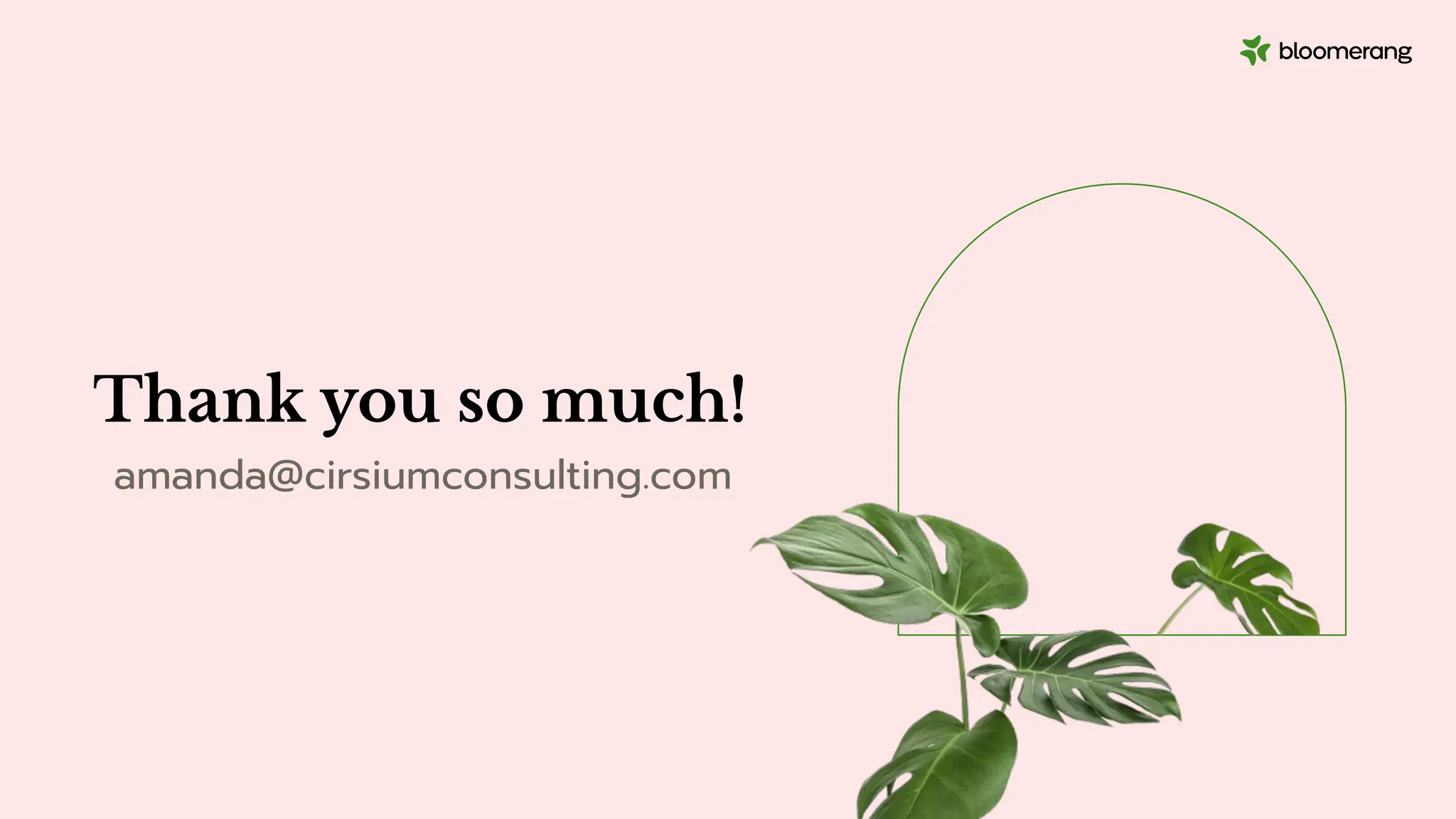 Thank you so much!
amanda@cirsiumconsulting.com
 