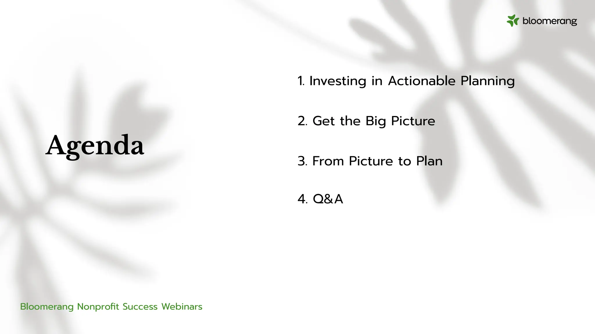 Agenda
1. Investing in Actionable Planning
2. Get the Big Picture
3. From Picture to Plan
4. Q&A
Bloomerang Nonproﬁt Success Webinars
 
