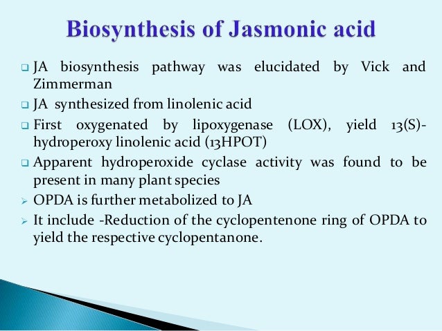 Action and biosynthesis of jasmonic acid