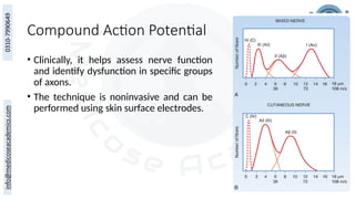 24
Compound Action Potential
• Clinically, it helps assess nerve function
and identify dysfunction in specific groups
of axons.
• The technique is noninvasive and can be
performed using skin surface electrodes.
 