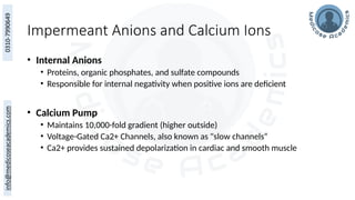 Impermeant Anions and Calcium Ions
• Internal Anions
• Proteins, organic phosphates, and sulfate compounds
• Responsible for internal negativity when positive ions are deficient
• Calcium Pump
• Maintains 10,000-fold gradient (higher outside)
• Voltage-Gated Ca2+ Channels, also known as "slow channels“
• Ca2+ provides sustained depolarization in cardiac and smooth muscle
 