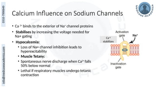 Calcium Influence on Sodium Channels
• Ca 2+
binds to the exterior of Na+
channel proteins
• Stabilises by increasing the voltage needed for
Na+ gating
• Hypocalcemia:
• Loss of Na+ channel inhibition leads to
hyperexcitability
• Muscle Tetany:
• Spontaneous nerve discharge when Ca2+
falls
50% below normal
• Lethal if respiratory muscles undergo tetanic
contraction
Ca+2
stabilizes
 