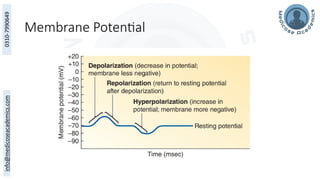 Membrane Potential
 
