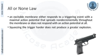 All or None Law
• an excitable membrane either responds to a triggering event with a
maximal action potential that spreads nondecrementally throughout
the membrane or does not respond with an action potential at all.
• Squeezing the trigger harder does not produce a greater explosion.
 