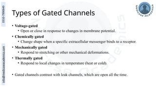 Types of Gated Channels
• Voltage-gated
• Open or close in response to changes in membrane potential.
• Chemically gated
• Change shape when a specific extracellular messenger binds to a receptor.
• Mechanically gated
• Respond to stretching or other mechanical deformations.
• Thermally gated
• Respond to local changes in temperature (heat or cold).
• Gated channels contrast with leak channels, which are open all the time.
 