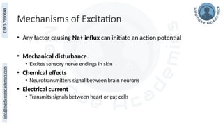 Mechanisms of Excitation
• Any factor causing Na+ influx can initiate an action potential
• Mechanical disturbance
• Excites sensory nerve endings in skin
• Chemical effects
• Neurotransmitters signal between brain neurons
• Electrical current
• Transmits signals between heart or gut cells
 