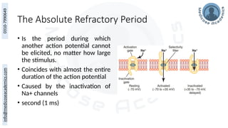 The Absolute Refractory Period
• Is the period during which
another action potential cannot
be elicited, no matter how large
the stimulus.
• Coincides with almost the entire
duration of the action potential
• Caused by the inactivation of
Na+ channels
• second (1 ms)
 