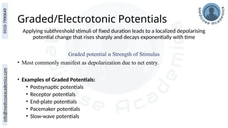 Graded/Electrotonic Potentials
Applying subthreshold stimuli of fixed duration leads to a localized depolarising
potential change that rises sharply and decays exponentially with time
Graded potential α Strength of Stimulus
• Most commonly manifest as depolarization due to net entry.
• Examples of Graded Potentials:
• Postsynaptic potentials
• Receptor potentials
• End-plate potentials
• Pacemaker potentials
• Slow-wave potentials
 