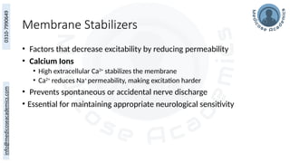 Membrane Stabilizers
• Factors that decrease excitability by reducing permeability
• Calcium Ions
• High extracellular Ca2+
stabilizes the membrane
• Ca2+
reduces Na+
permeability, making excitation harder
• Prevents spontaneous or accidental nerve discharge
• Essential for maintaining appropriate neurological sensitivity
 