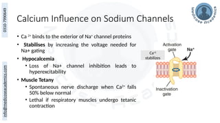 Calcium Influence on Sodium Channels
• Ca 2+
binds to the exterior of Na+
channel proteins
• Stabilises by increasing the voltage needed for
Na+ gating
• Hypocalcemia
• Loss of Na+ channel inhibition leads to
hyperexcitability
• Muscle Tetany
• Spontaneous nerve discharge when Ca2+
falls
50% below normal
• Lethal if respiratory muscles undergo tetanic
contraction
Ca+2
stabilizes
 