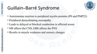 Guillain–Barré Syndrome
• Autoimmune reaction to peripheral myelin proteins (P0 and PMP22)
• Peripheral demyelinating neuropathy
• Leads to delayed or blocked conduction in affected axons
• MS affects the CNS, GBS affects the PNS
• Results in muscle weakness and sensory changes
 