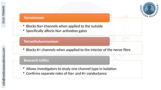 • Blocks Na+ channels when applied to the outside
• Specifically affects Na+ activation gates
Tetrodotoxin
• Blocks K+ channels when aapplied to the interior of the nerve fibre
Tetraethylammonium
• Allows investigators to study one channel type in isolation
• Confirms separate roles of Na+ and K+ conductance
Research Utility
 