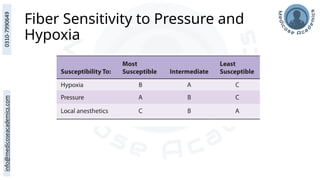 Fiber Sensitivity to Pressure and
Hypoxia
 