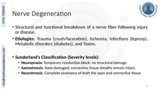 63
Nerve Degeneration
• Structural and functional breakdown of a nerve fiber following injury
or disease.
• Etiologies: Trauma (crush/laceration), Ischemia, Infections (leprosy),
Metabolic disorders (diabetes), and Toxins.
• Sunderland’s Classification (Severity levels):
• Neuropraxia: Temporary conduction block; no structural damage.
• Axonotmesis: Axon damaged; connective tissue sheaths remain intact.
• Neurotmesis: Complete severance of both the axon and connective tissue
 