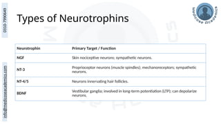 Types of Neurotrophins
Neurotrophin Primary Target / Function
NGF Skin nociceptive neurons; sympathetic neurons.
NT-3
Proprioceptor neurons (muscle spindles); mechanoreceptors; sympathetic
neurons.
NT-4/5 Neurons innervating hair follicles.
BDNF
Vestibular ganglia; involved in long-term potentiation (LTP); can depolarize
neurons.
 
