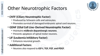 Other Neurotrophic Factors
• CNTF (Ciliary Neurotrophic Factor):
• Produced by Schwann cells and astrocytes.
• Promotes survival of damaged/embryonic spinal cord neurons.
• GDNF (Glial Cell Line–Derived Neurotrophic Factor):
• Maintains midbrain dopaminergic neurons.
• Prevents apoptosis of spinal motor neurons.
• LIF (Leukemia Inhibitory Factor):
• Enhances neuronal growth.
• Additional Factors:
• Neurons also respond to IGF-I, TGF, FGF, and PDGF.
 