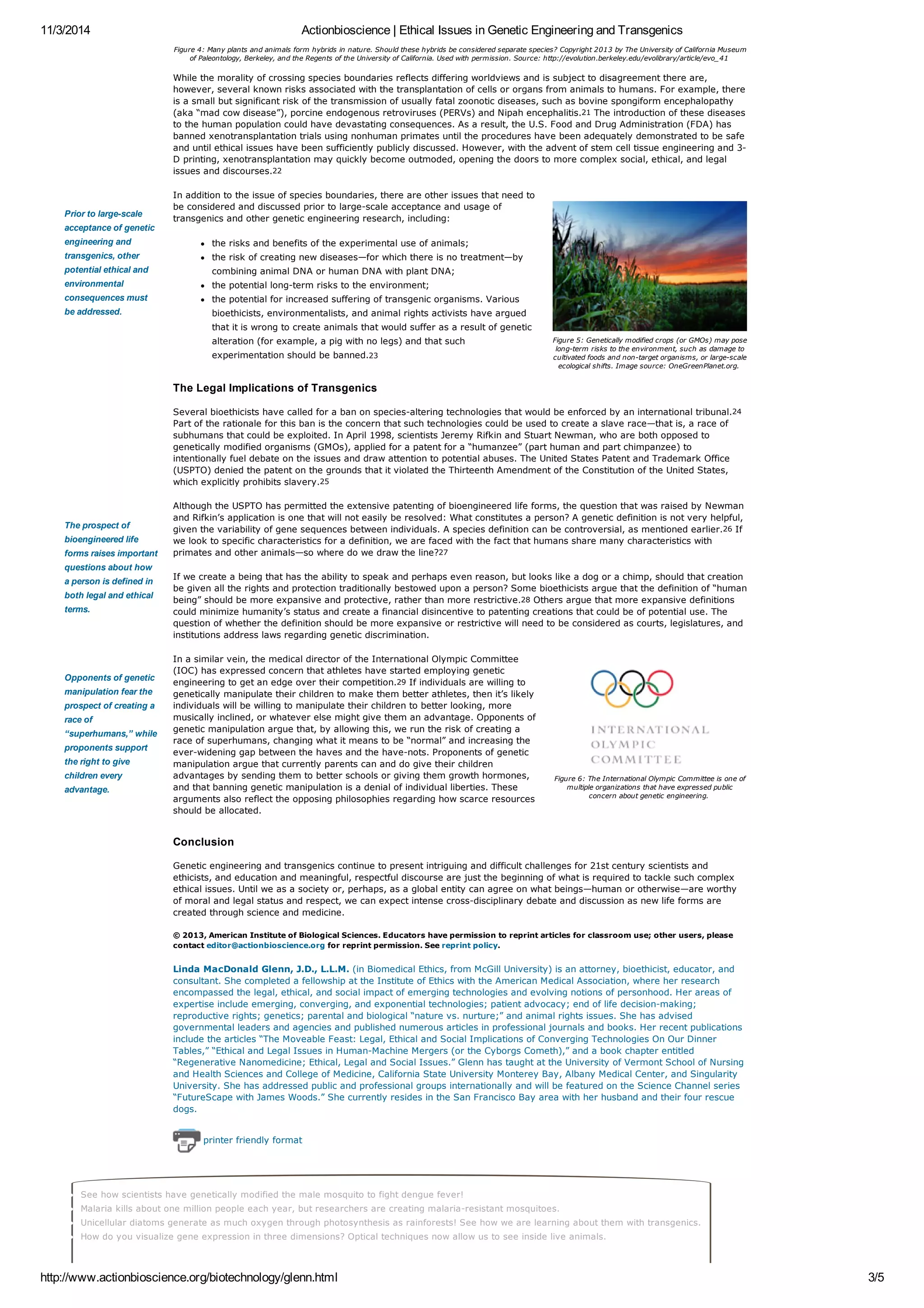 11/3/2014 Actionbioscience | Ethical Issues in Genetic Engineering and Transgenics 
Figure 4: Many plants and animals form hybrids in nature. Should these hybrids be considered separate species? Copyright 2013 by The University of California Museum 
of Paleontology, Berkeley, and the Regents of the University of California. Used with permission. Source: http://evolution.berkeley.edu/evolibrary/article/evo_41 
While the morality of crossing species boundaries reflects differing worldviews and is subject to disagreement there are, 
however, several known risks associated with the transplantation of cells or organs from animals to humans. For example, there 
is a small but significant risk of the transmission of usually fatal zoonotic diseases, such as bovine spongiform encephalopathy 
(aka “mad cow disease”), porcine endogenous retroviruses (PERVs) and Nipah encephalitis.21 The introduction of these diseases 
to the human population could have devastating consequences. As a result, the U.S. Food and Drug Administration (FDA) has 
banned xenotransplantation trials using nonhuman primates until the procedures have been adequately demonstrated to be safe 
and until ethical issues have been sufficiently publicly discussed. However, with the advent of stem cell tissue engineering and 3- 
D printing, xenotransplantation may quickly become outmoded, opening the doors to more complex social, ethical, and legal 
issues and discourses.22 
Figure 5: Genetically modified crops (or GMOs) may pose 
long-term risks to the environment, such as damage to 
cultivated foods and non-target organisms, or large-scale 
ecological shifts. Image source: OneGreenPlanet.org. 
Prior to large-scale 
acceptance of genetic 
engineering and 
transgenics, other 
potential ethical and 
environmental 
consequences must 
be addressed. 
The prospect of 
bioengineered life 
forms raises important 
questions about how 
a person is defined in 
both legal and ethical 
terms. 
The Legal Implications of Transgenics 
Several bioethicists have called for a ban on species-altering technologies that would be enforced by an international tribunal.24 
Part of the rationale for this ban is the concern that such technologies could be used to create a slave race—that is, a race of 
subhumans that could be exploited. In April 1998, scientists Jeremy Rifkin and Stuart Newman, who are both opposed to 
genetically modified organisms (GMOs), applied for a patent for a “humanzee” (part human and part chimpanzee) to 
intentionally fuel debate on the issues and draw attention to potential abuses. The United States Patent and Trademark Office 
(USPTO) denied the patent on the grounds that it violated the Thirteenth Amendment of the Constitution of the United States, 
which explicitly prohibits slavery.25 
Although the USPTO has permitted the extensive patenting of bioengineered life forms, the question that was raised by Newman 
and Rifkin’s application is one that will not easily be resolved: What constitutes a person? A genetic definition is not very helpful, 
given the variability of gene sequences between individuals. A species definition can be controversial, as mentioned earlier.26 If 
we look to specific characteristics for a definition, we are faced with the fact that humans share many characteristics with 
primates and other animals—so where do we draw the line?27 
If we create a being that has the ability to speak and perhaps even reason, but looks like a dog or a chimp, should that creation 
be given all the rights and protection traditionally bestowed upon a person? Some bioethicists argue that the definition of “human 
being” should be more expansive and protective, rather than more restrictive.28 Others argue that more expansive definitions 
could minimize humanity’s status and create a financial disincentive to patenting creations that could be of potential use. The 
question of whether the definition should be more expansive or restrictive will need to be considered as courts, legislatures, and 
institutions address laws regarding genetic discrimination. 
Figure 6: The International Olympic Committee is one of 
multiple organizations that have expressed public 
concern about genetic engineering. 
Opponents of genetic 
manipulation fear the 
prospect of creating a 
race of 
“superhumans,” while 
proponents support 
the right to give 
children every 
advantage. 
In addition to the issue of species boundaries, there are other issues that need to 
be considered and discussed prior to large-scale acceptance and usage of 
transgenics and other genetic engineering research, including: 
the risks and benefits of the experimental use of animals; 
the risk of creating new diseases—for which there is no treatment—by 
combining animal DNA or human DNA with plant DNA; 
the potential long-term risks to the environment; 
the potential for increased suffering of transgenic organisms. Various 
bioethicists, environmentalists, and animal rights activists have argued 
that it is wrong to create animals that would suffer as a result of genetic 
alteration (for example, a pig with no legs) and that such 
experimentation should be banned.23 
In a similar vein, the medical director of the International Olympic Committee 
(IOC) has expressed concern that athletes have started employing genetic 
engineering to get an edge over their competition.29 If individuals are willing to 
genetically manipulate their children to make them better athletes, then it’s likely 
individuals will be willing to manipulate their children to better looking, more 
musically inclined, or whatever else might give them an advantage. Opponents of 
genetic manipulation argue that, by allowing this, we run the risk of creating a 
race of superhumans, changing what it means to be “normal” and increasing the 
ever-widening gap between the haves and the have-nots. Proponents of genetic 
manipulation argue that currently parents can and do give their children 
advantages by sending them to better schools or giving them growth hormones, 
and that banning genetic manipulation is a denial of individual liberties. These 
arguments also reflect the opposing philosophies regarding how scarce resources 
should be allocated. 
Conclusion 
Genetic engineering and transgenics continue to present intriguing and difficult challenges for 21st century scientists and 
ethicists, and education and meaningful, respectful discourse are just the beginning of what is required to tackle such complex 
ethical issues. Until we as a society or, perhaps, as a global entity can agree on what beings—human or otherwise—are worthy 
of moral and legal status and respect, we can expect intense cross-disciplinary debate and discussion as new life forms are 
created through science and medicine. 
© 2013, American Institute of Biological Sciences. Educators have permission to reprint articles for classroom use; other users, please 
contact editor@actionbioscience.org for reprint permission. See reprint policy. 
Linda MacDonald Glenn, J.D., L.L.M. (in Biomedical Ethics, from McGill University) is an attorney, bioethicist, educator, and 
consultant. She completed a fellowship at the Institute of Ethics with the American Medical Association, where her research 
encompassed the legal, ethical, and social impact of emerging technologies and evolving notions of personhood. Her areas of 
expertise include emerging, converging, and exponential technologies; patient advocacy; end of life decision-making; 
reproductive rights; genetics; parental and biological “nature vs. nurture;” and animal rights issues. She has advised 
governmental leaders and agencies and published numerous articles in professional journals and books. Her recent publications 
include the articles “The Moveable Feast: Legal, Ethical and Social Implications of Converging Technologies On Our Dinner 
Tables,” “Ethical and Legal Issues in Human-Machine Mergers (or the Cyborgs Cometh),” and a book chapter entitled 
“Regenerative Nanomedicine; Ethical, Legal and Social Issues.” Glenn has taught at the University of Vermont School of Nursing 
and Health Sciences and College of Medicine, California State University Monterey Bay, Albany Medical Center, and Singularity 
University. She has addressed public and professional groups internationally and will be featured on the Science Channel series 
“FutureScape with James Woods.” She currently resides in the San Francisco Bay area with her husband and their four rescue 
dogs. 
printer friendly format 
See how scientists have genetically modified the male mosquito to fight dengue fever! 
Malaria kills about one million people each year, but researchers are creating malaria-resistant mosquitoes. 
Unicellular diatoms generate as much oxygen through photosynthesis as rainforests! See how we are learning about them with transgenics. 
How do you visualize gene expression in three dimensions? Optical techniques now allow us to see inside live animals. 
http://www.actionbioscience.org/biotechnology/glenn.html 3/5 
 