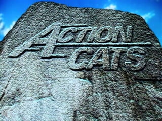 Action cats (v.m.)