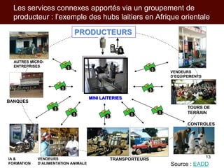 Modèles d’action collective pour les producteurs et leurs filières de commercialisation