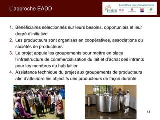 Modèles d’action collective pour les producteurs et leurs filières de commercialisation