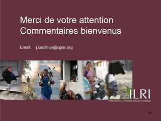 Modèles d’action collective pour les producteurs et leurs filières de commercialisation